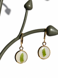 Real Fern Mini Hoops