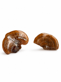 Real Mushroom Stud Earrings