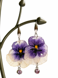 Real Pansy Earrings with Violet Accent Drops