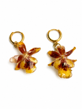 Real Oncidium Orchid Earrings