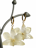 Real White Dendrobium Orchid Hoops