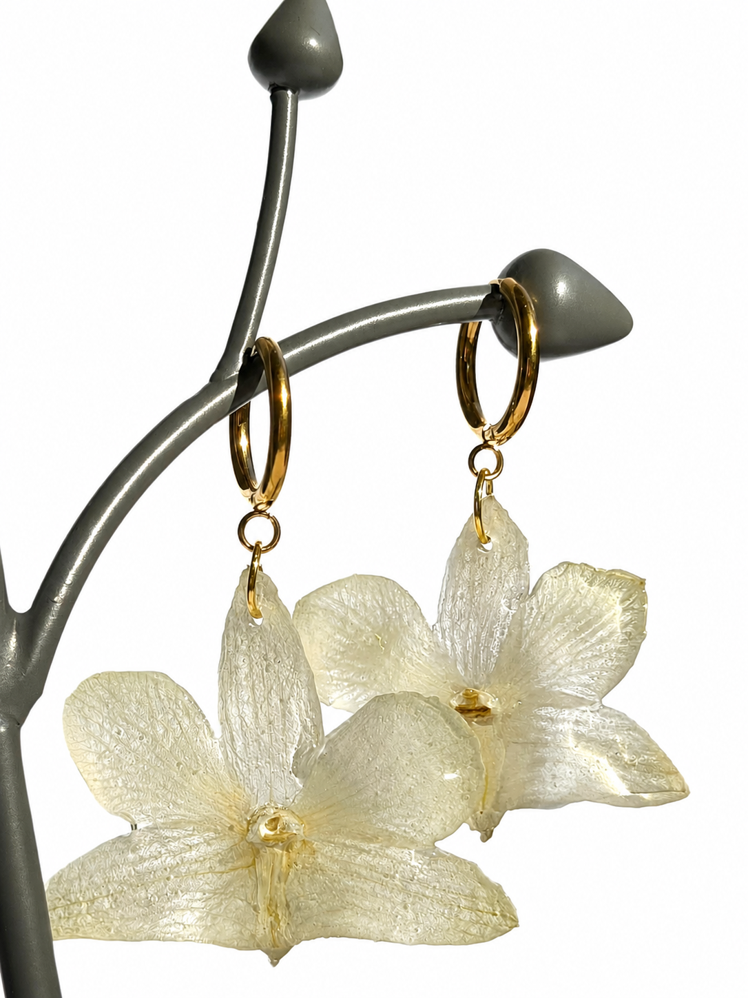 Real White Dendrobium Orchid Hoops