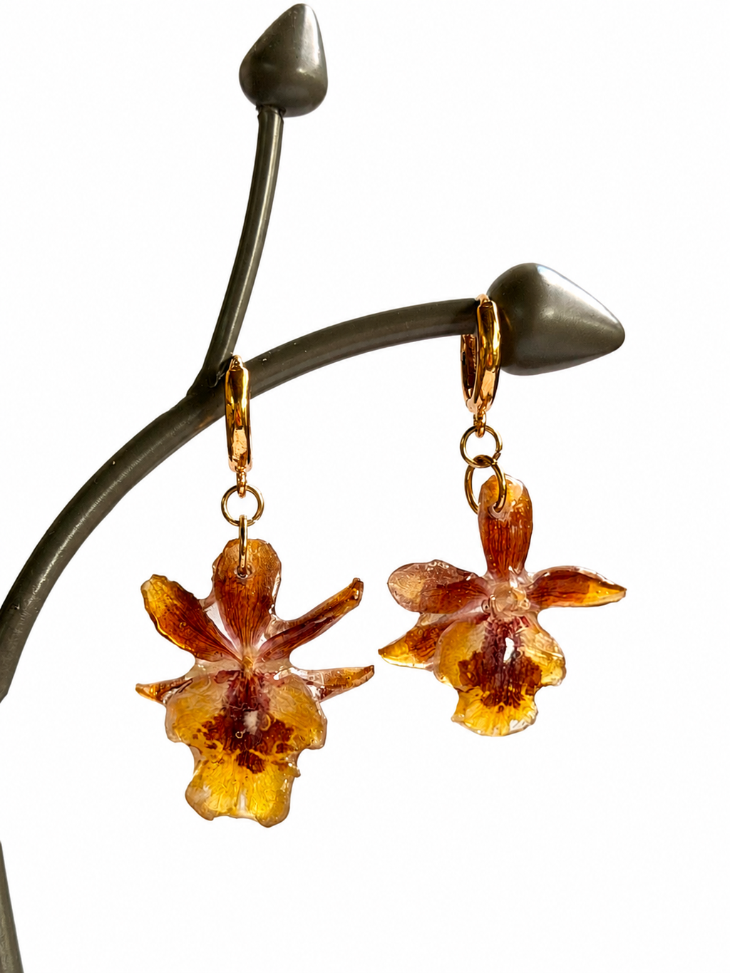 Real Oncidium Orchid Earrings