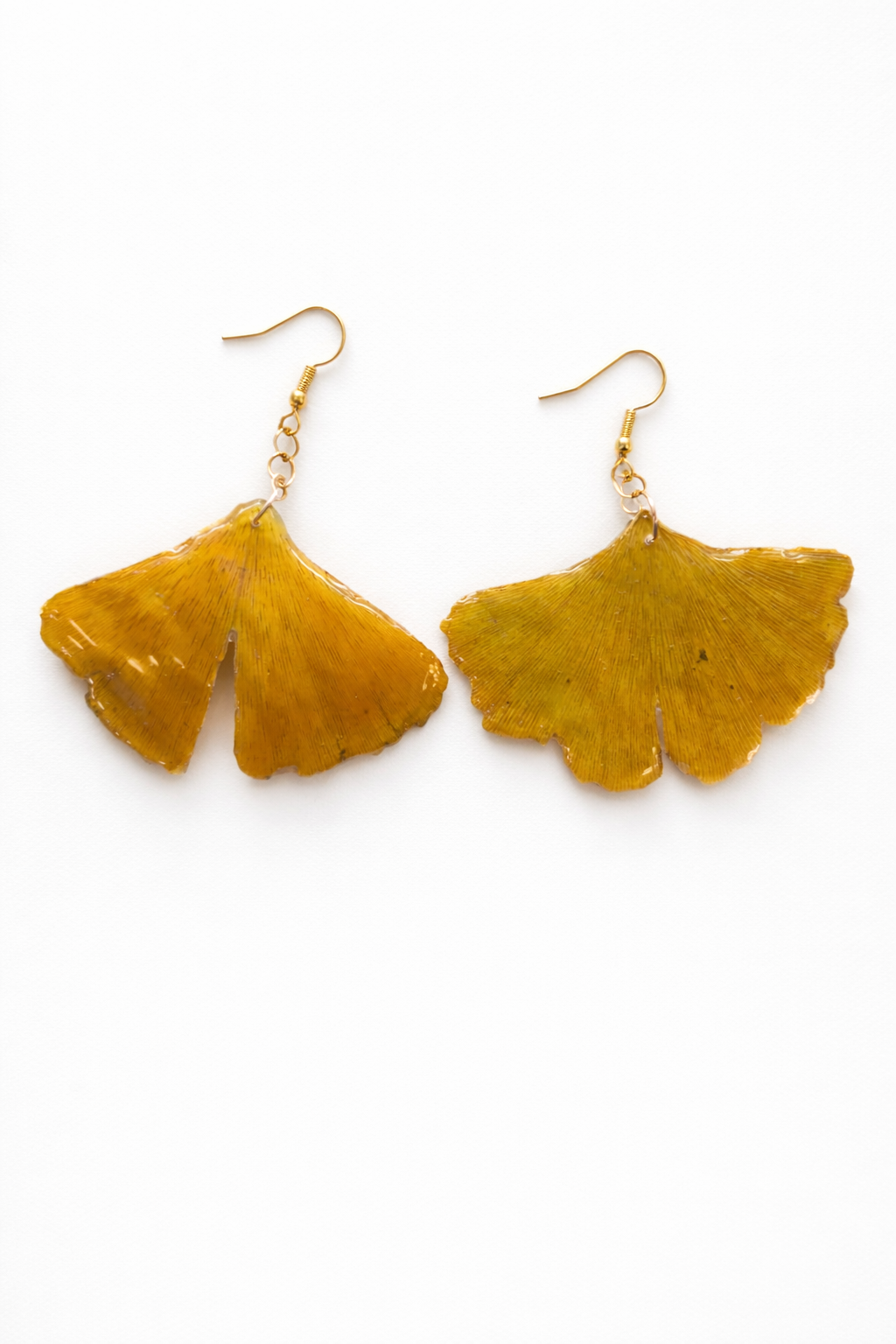 Golden Ginkgo Leaf