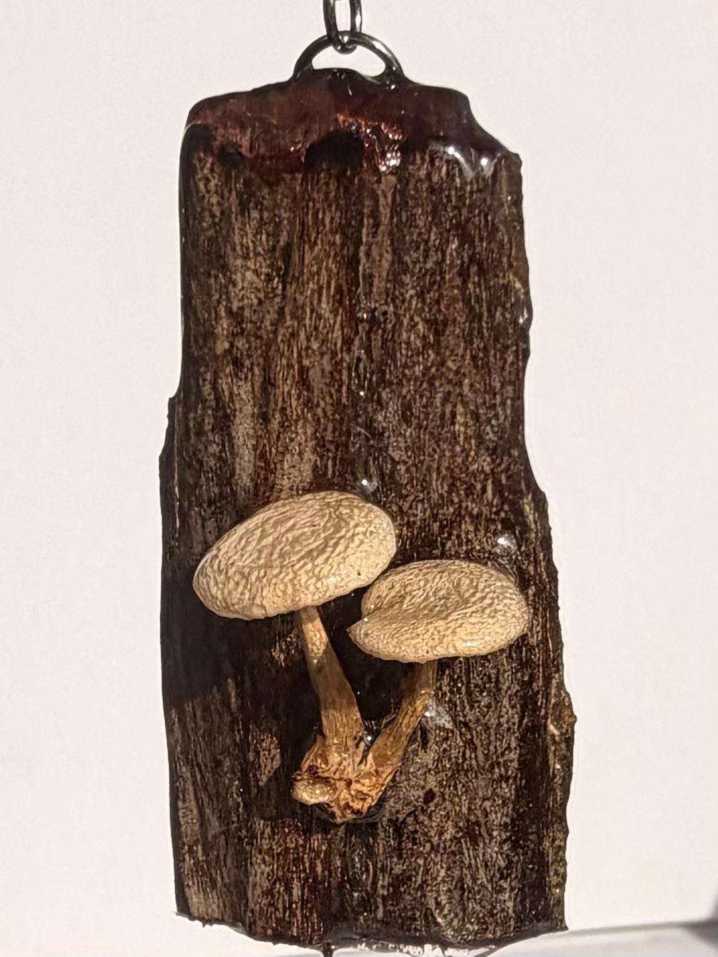 Real Beige Mushroom Bark Necklace