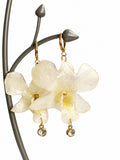 Real White Dendrobium Orchid Earrings with Crystal Drops