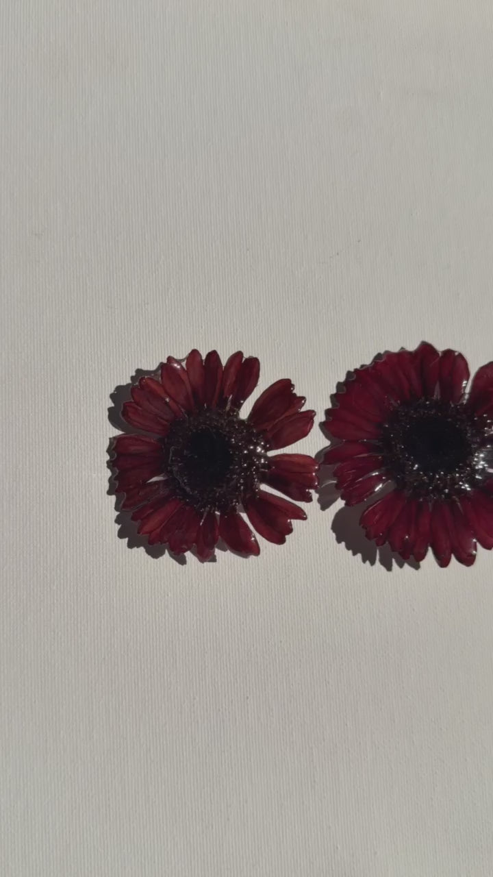 Real Red Gerbera Daisy Statement Stud Earrings